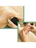 10月末まで》会員様限定/ボディケア&フットケア90分　8440円→7700円