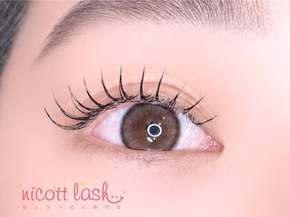 ニコットラッシュ 京橋店(nicott lash)の写真