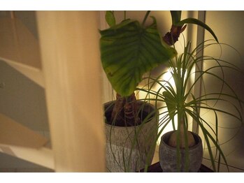 オージャススパ/完全プライベート空間