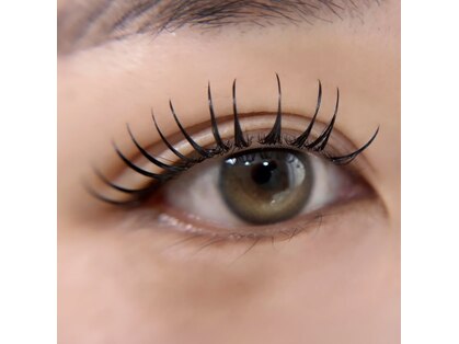 エレ(ele)の写真