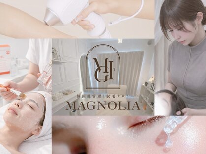 マグノリア(MAGNOLIA)の写真