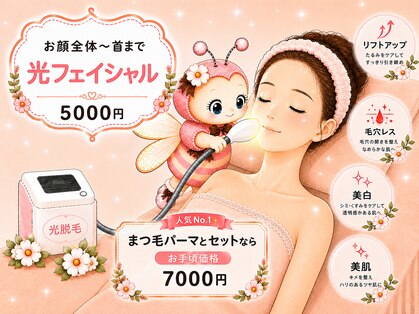 ピンクビー(Pink Bee)の写真