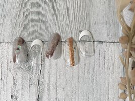 定額デザインコース
