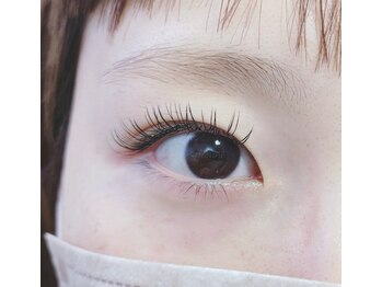 ネリネ(Nerine)/フラットラッシュ120本