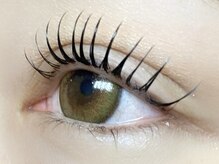 ケーズ ラッシュ(K's LASH)