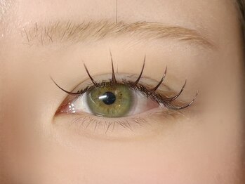 バタフライ 川崎店(Butterfly)/フラットラッシュ120本