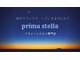 プリマステラ(prima stella)の写真