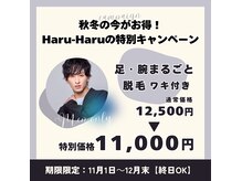 脱毛サロン ハルハル(Haru-Haru)の雰囲気（男性人気メニューが今だけお得♪）