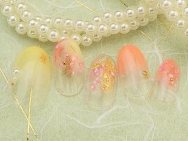 ＊ニュアンスシェル＊