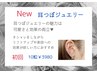 【2025トレンド】耳ツボジュエリー10粒 ￥4980→￥3980
