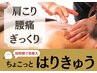 鍼が気になる方、腰痛、肩こりに【ちょこっと鍼灸】通常3,000円→初回1,800円