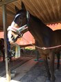 全力ストレッチ 大井町店&nbsp;馬が幼い頃から好きで週２で乗馬してます！