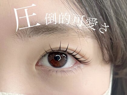 リリーアイラッシュ(Lily Eyelash)の写真