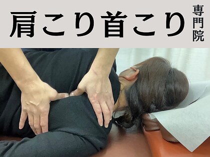 整体ボディケア フィッシュ(fish)の写真