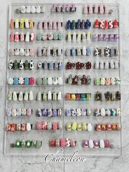 カメレオン(chameleon)/定額デザイン【6】