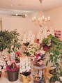 シャングリ ラ(Shangri La)&nbsp;オープン時お祝のお花でサロンが埋まりそうでした！宝物です！