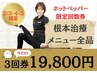 ビ祭2月2～4限定！【根本メニュー全品】3回券19,800円