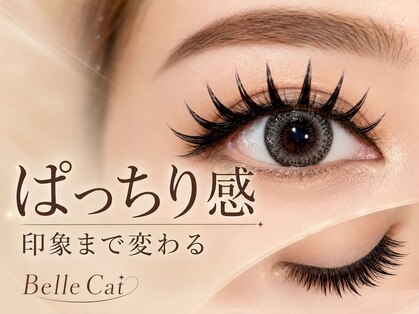 ベルキャット(Belle Cat)の写真