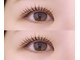 ベルファ 柏店(BelleFee)の写真