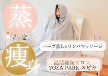 ヨサパーク スピカ 武蔵中原(YOSA PARK)