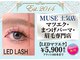 ミューズ(MUSE)の写真