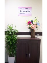 ラナンキュラス(Ranunculus)/