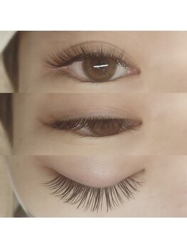 リリーベル(Lilybell)/