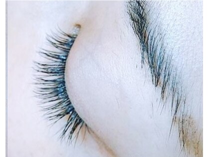 サントラップ(SUNTRAP)の写真