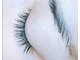 サントラップ(SUNTRAP)の写真