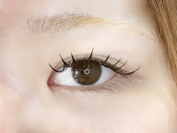 フェディス(Fedis)/LED/ダブルフラットラッシュ