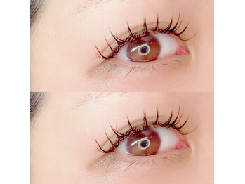 フーフロー(Fooflow)/フラットラッシュ120本