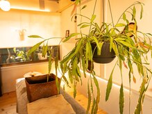 こりほぐし 図書館前/秋冬インテリア