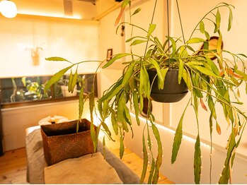 こりほぐし 図書館前/秋冬インテリア