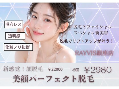 エステティック レイビス 銀座店(RAYVIS)の写真