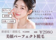 エステティック レイビス 銀座店(RAYVIS)