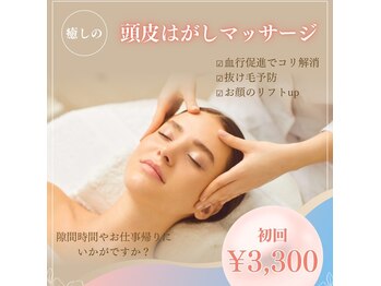 シルクスタンダード(SILK STANDARD)