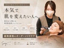 スナイ(SNAY)
