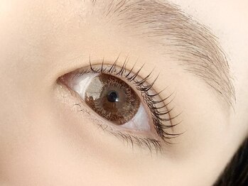 キャリコ(calico)/