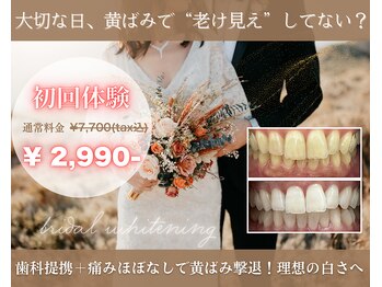 マインリー(Minely)