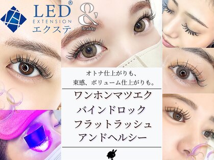 バニーラッシュ(Bunny Lash)の写真