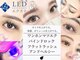 バニーラッシュ(Bunny Lash)の写真