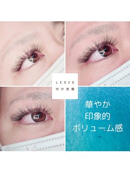 アポストロフィエス/LED2 Dつけ放題