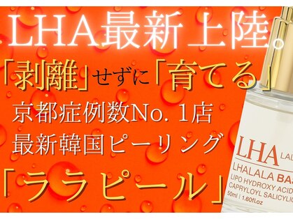 ハウピア 烏丸(Haupia)の写真