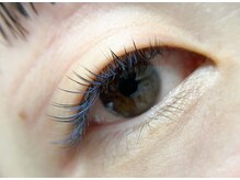 プルームミコ(Plume mico)/フラットラッシュ100本＋1色