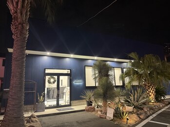 脱毛専門サロン エリクサー(Elixir)/大きなヤシの木が目印です！