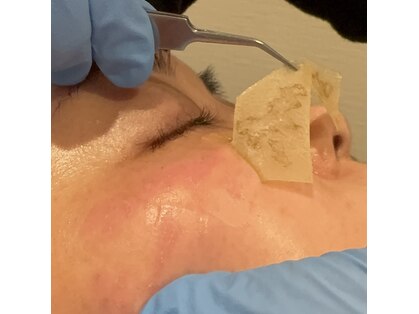 ジブラ(GEBRA)の写真