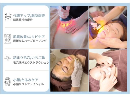 ビオルブ(VIOLVE)の写真