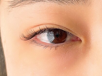 リリハ(Liliha)の写真