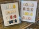レオネイル(leo nail)の写真/【定額コース¥6600/¥7700】口コミ多数のプライベートサロン★季節や人気のデザインを多数ご用意♪