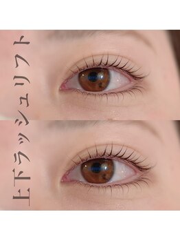 カミーノ(CAMINO)/上下まつげパーマ